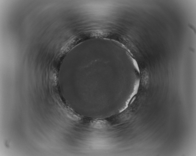 X0000101980716200808081615