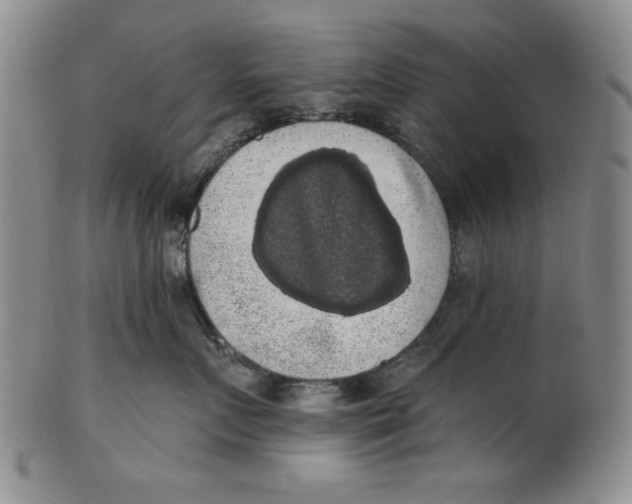 X0000101980719200808081615