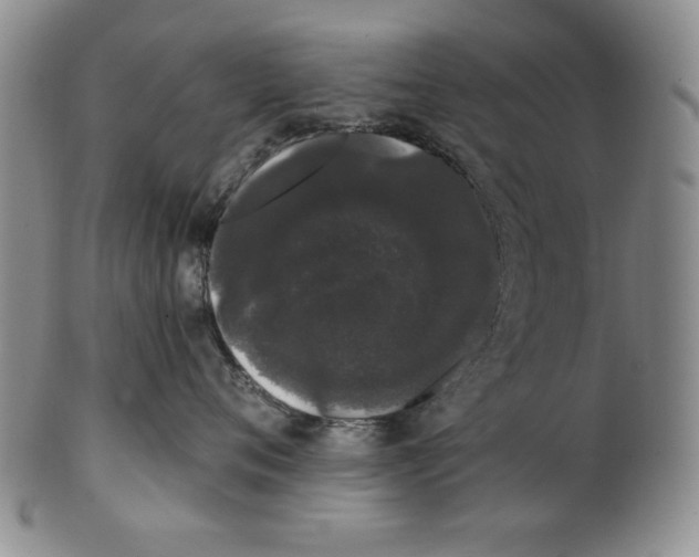 X0000101980720200808081615