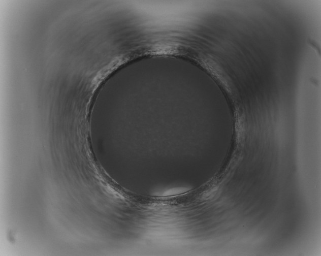 X0000101980721200808081614