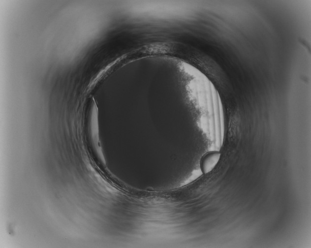 X0000101980722200808081614