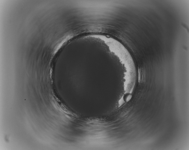 X0000101980723200808081614