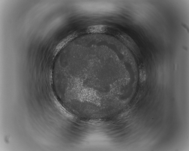 X0000101980725200808081615