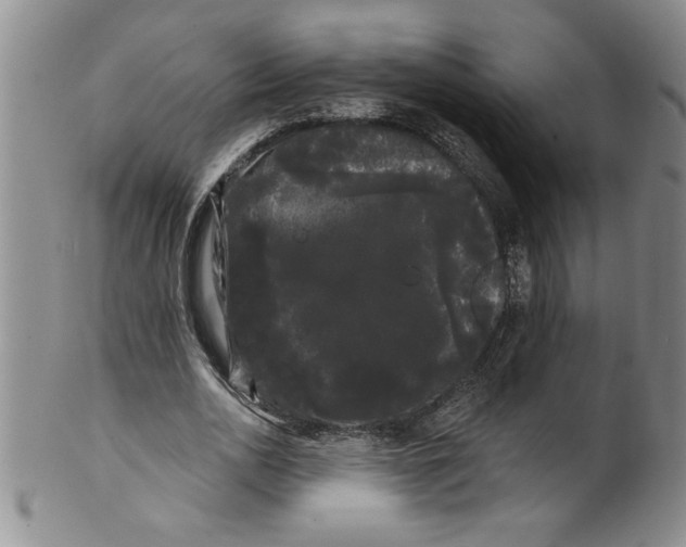 X0000101980726200808081615