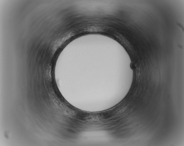 X0000101980727200808081615