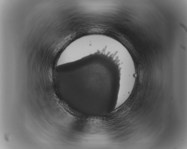 X0000101980729200808081615