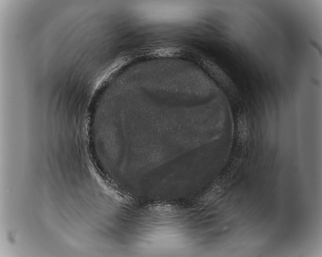 X0000101980730200808081615