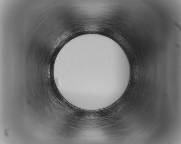 X0000101980731200808081615