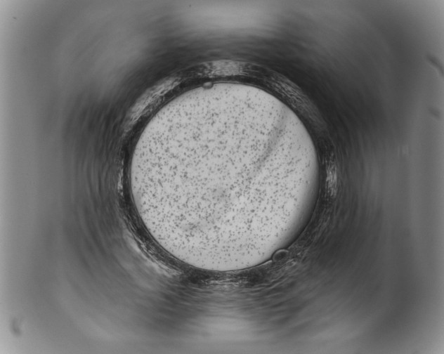 X0000101980732200808081615