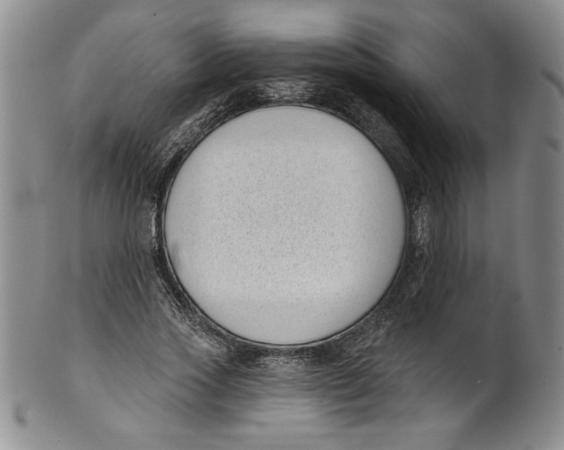 X0000101980733200808081615