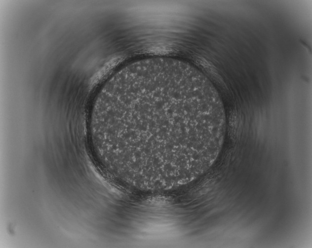 X0000101980734200808081615