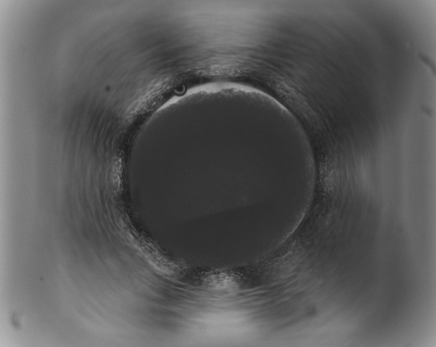 X0000101980735200808081615