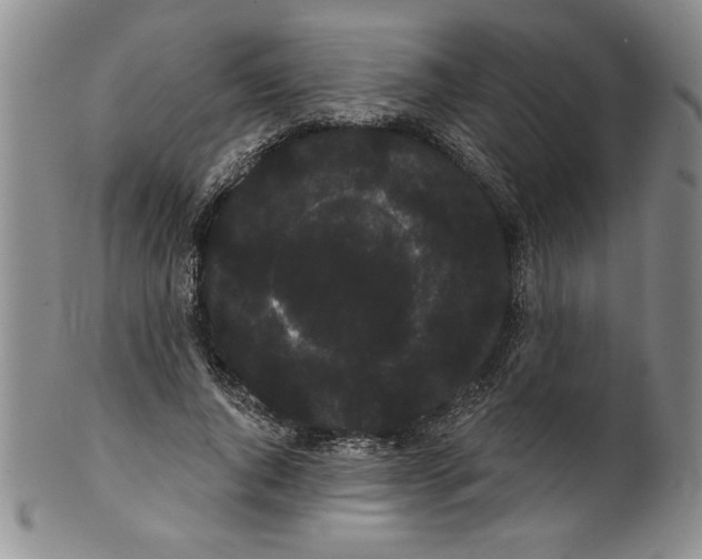 X0000101980736200808081615