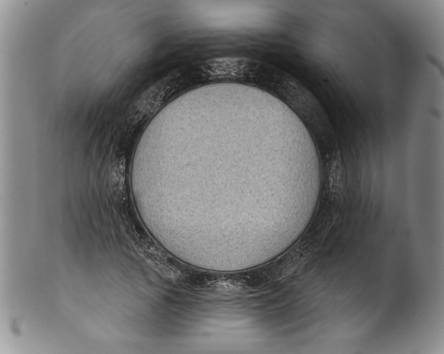 X0000101980737200808081615