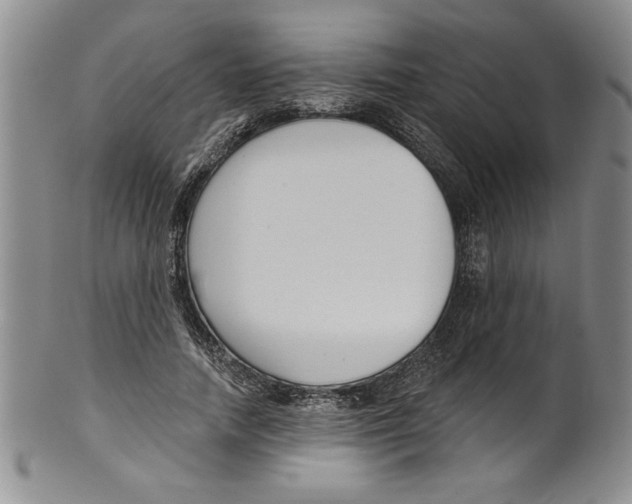 X0000101980738200808081615