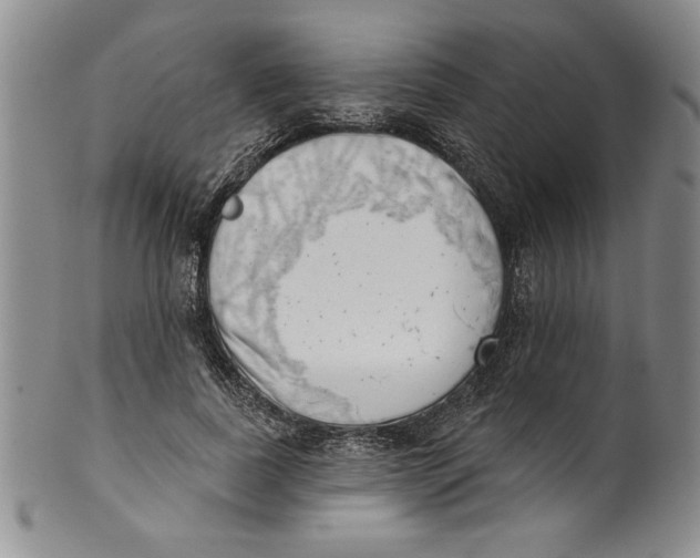 X0000101980739200808081615