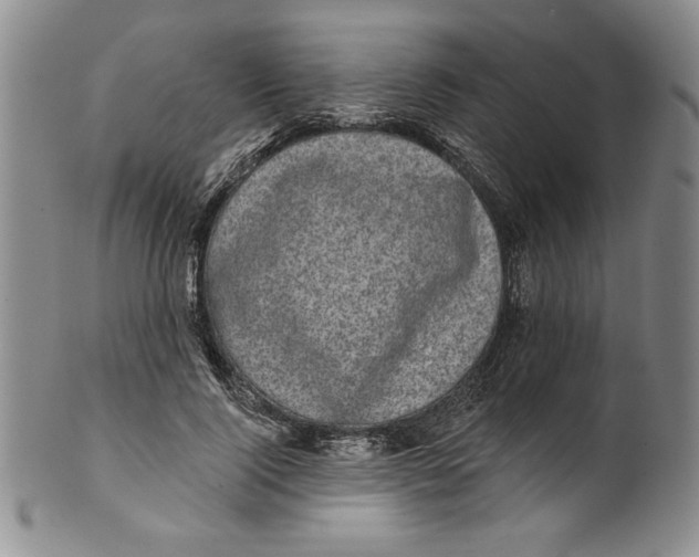 X0000101980740200808081615