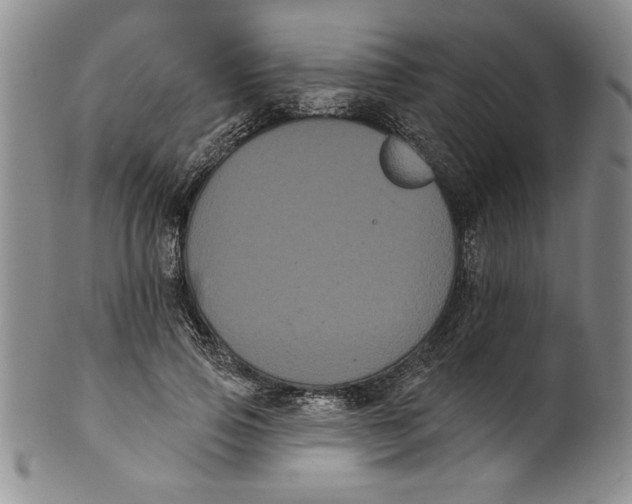 X0000101980741200808081615