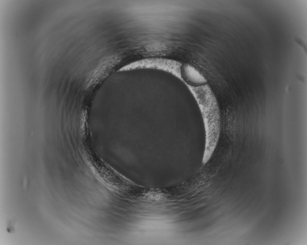 X0000101980742200808081615