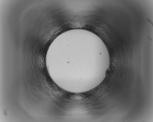 X0000101980743200808081615