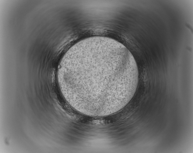 X0000101980744200808081615