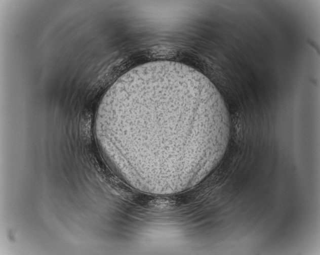 X0000101980745200808081615