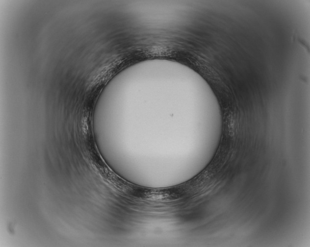 X0000101980746200808081615