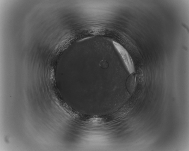 X0000101980748200808081615