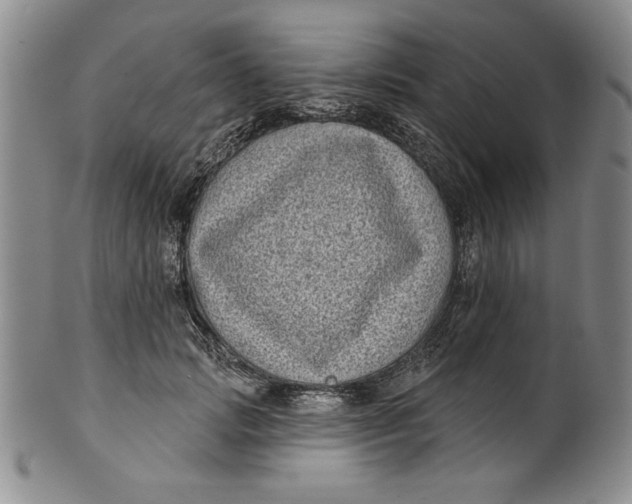 X0000101980749200808081615