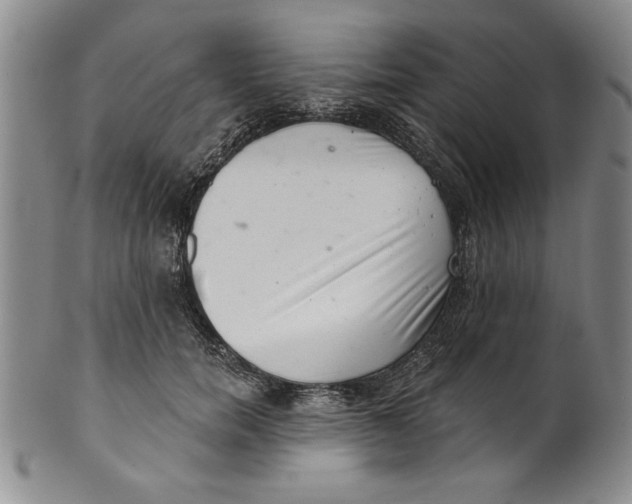 X0000101980750200808081615