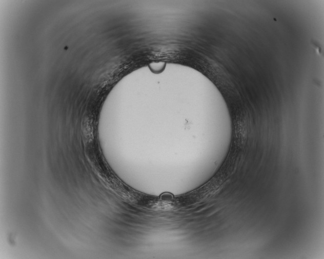 X0000101980751200808081615