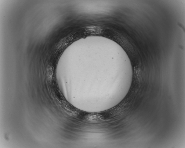 X0000101980752200808081615