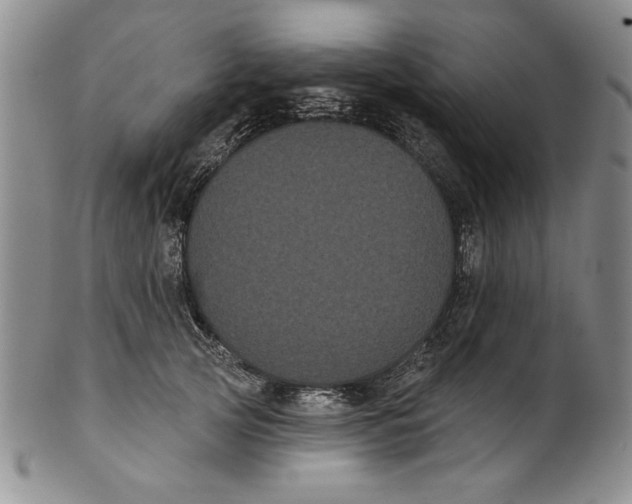 X0000101980753200808081615