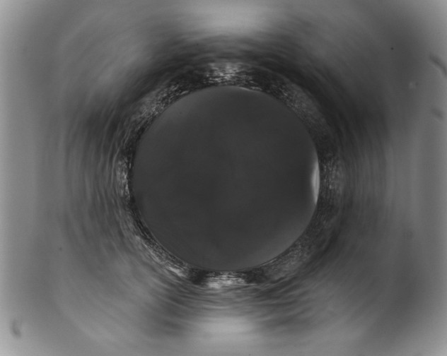 X0000101980754200808081615