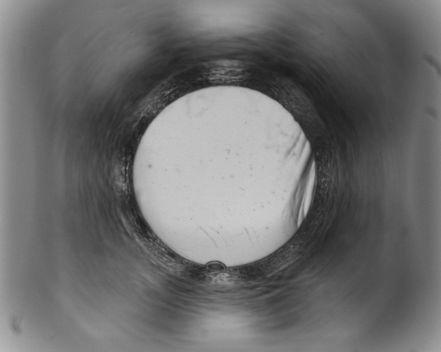 X0000101980755200808081615