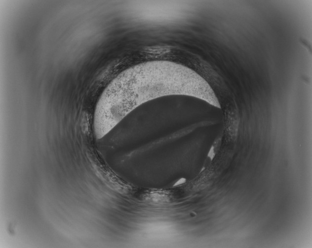 X0000101980758200808081615