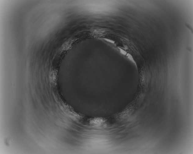 X0000101980759200808081615