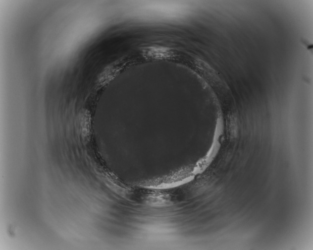 X0000101980760200808081615