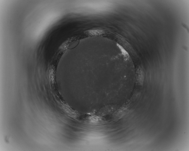 X0000101980762200808081615