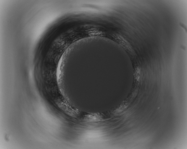 X0000101980763200808081615