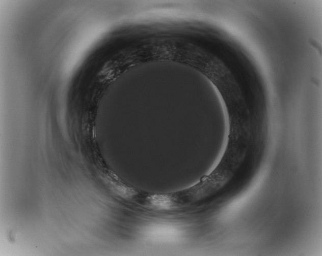 X0000101980766200808081615