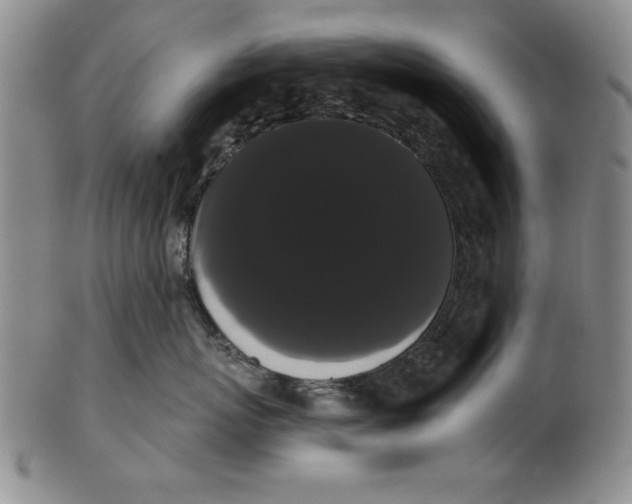 X0000101980767200808081615