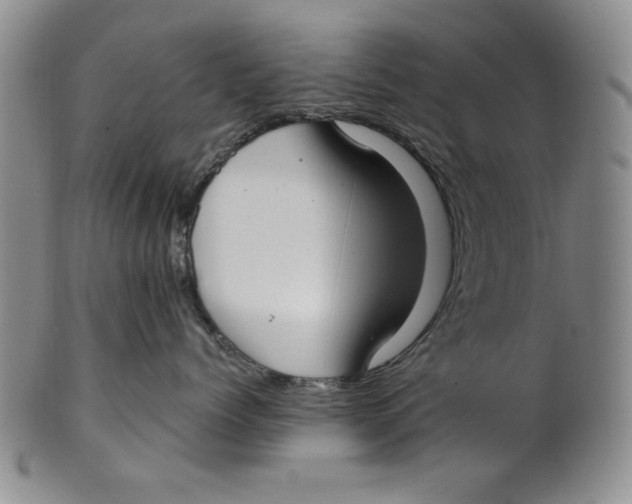 X0000101980768200808081615