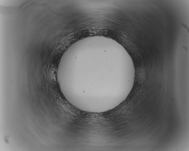 X0000101980770200808081614