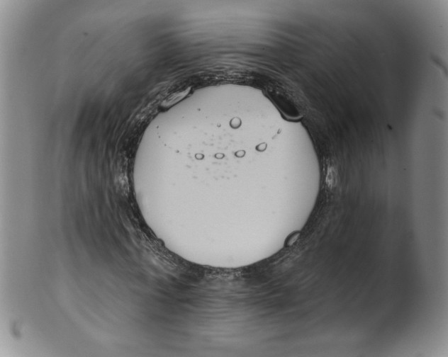 X0000101980771200808081614