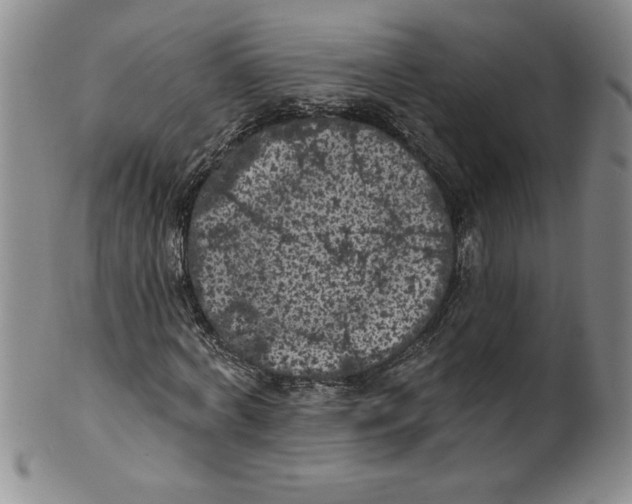 X0000101980772200808081614