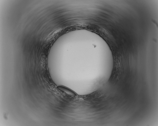 X0000101980773200808081614