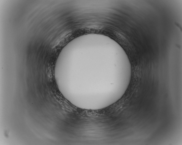 X0000101980774200808081614