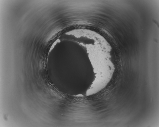 X0000101980775200808081614