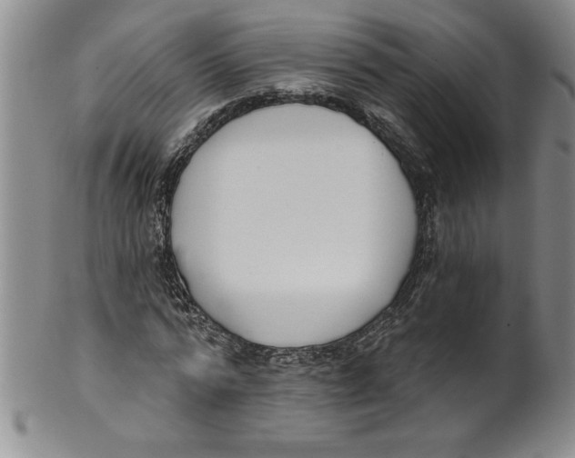 X0000101980776200808081614